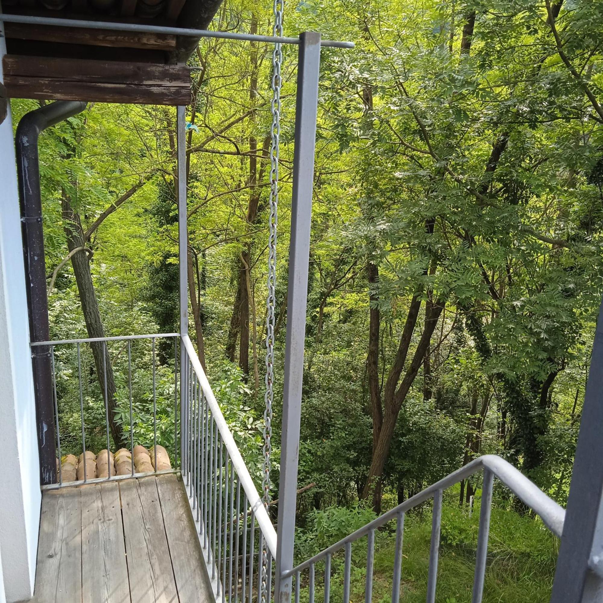 Il Canto Del Bosco Netro Exteriör bild